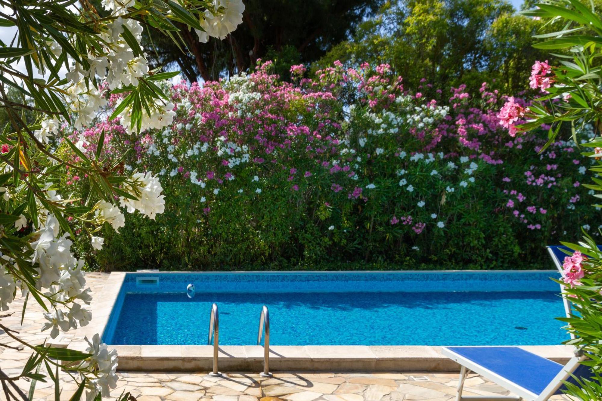 Trilo Dalia Villa Marina di Grosseto Exterior foto